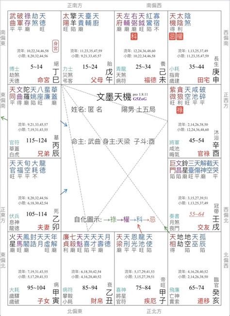 武曲破軍坐命|紫微命盤解析——武曲、破軍在巳、亥宮